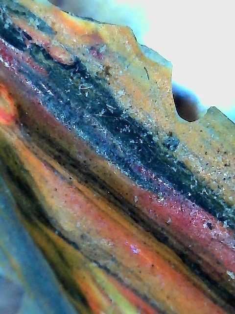 Coupe stratigraphique d'une écaille de peinture